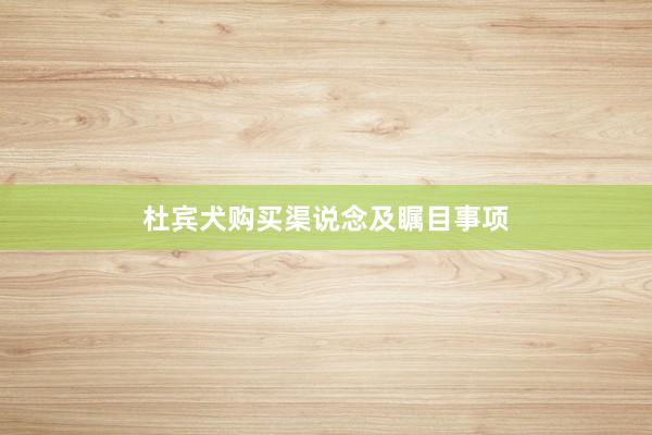 杜宾犬购买渠说念及瞩目事项