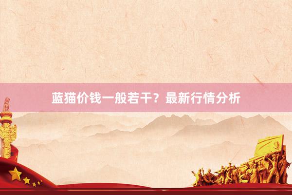 蓝猫价钱一般若干？最新行情分析