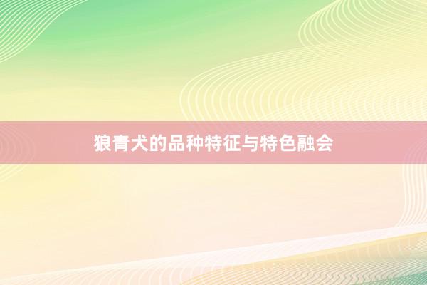 狼青犬的品种特征与特色融会